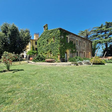 Agriturismo Bio Fattoria Di Pietra Giuncarico Екстер'єр фото
