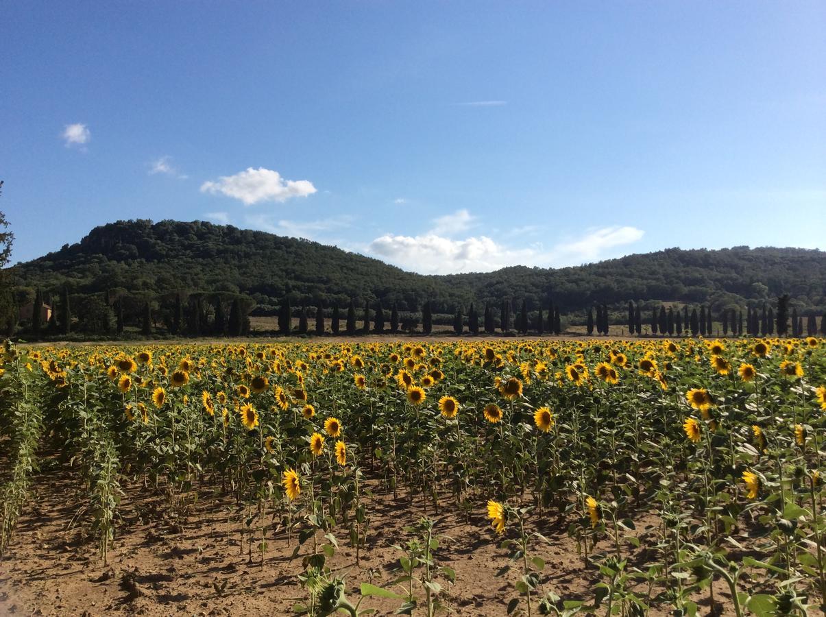 Agriturismo Bio Fattoria Di Pietra Giuncarico Екстер'єр фото